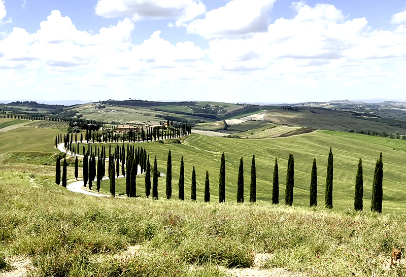 Val d’Orcia.jpg